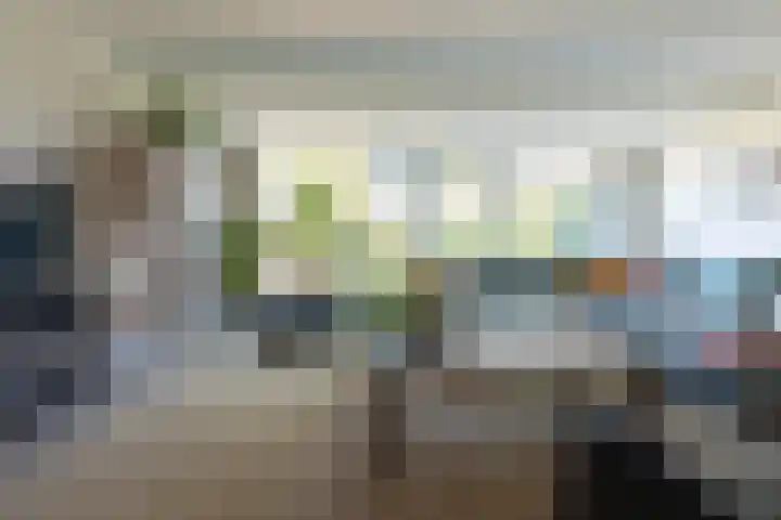 Wildenborg 31 Barneveld thumbnail 15