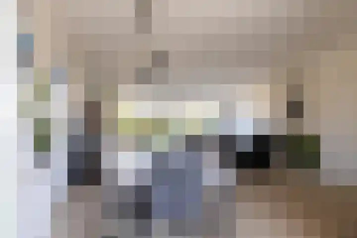 Wildenborg 31 Barneveld thumbnail 19