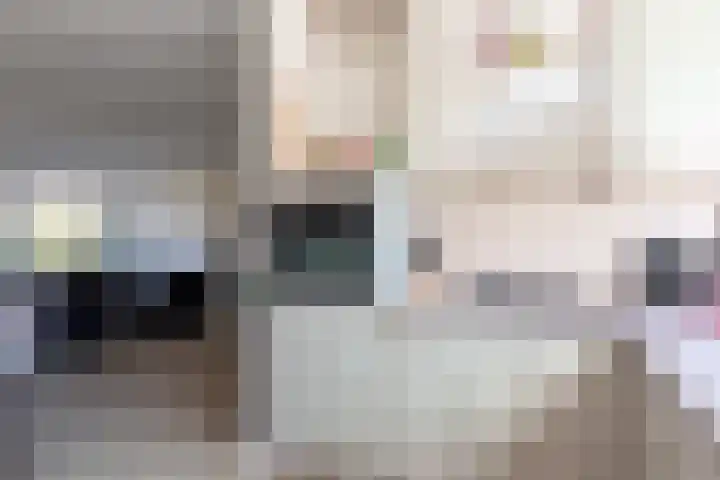 Wildenborg 31 Barneveld thumbnail 22