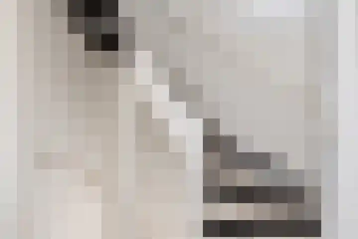 Wildenborg 31 Barneveld thumbnail 24