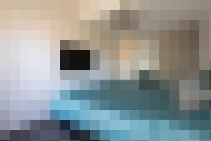 Wildenborg 31 Barneveld thumbnail 26