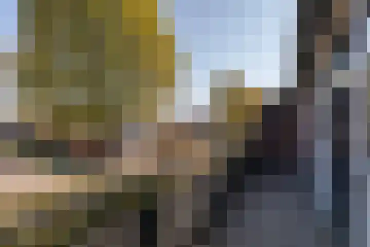 Wildenborg 31 Barneveld thumbnail 27