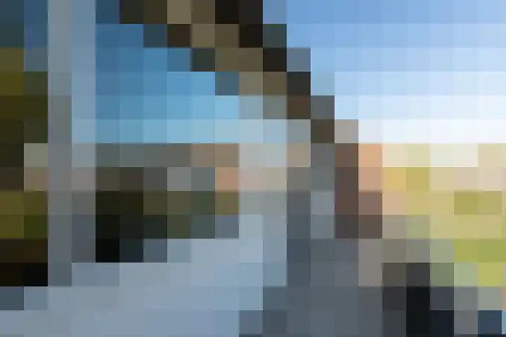 Wildenborg 31 Barneveld thumbnail 29