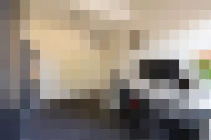 Wildenborg 31 Barneveld thumbnail 33