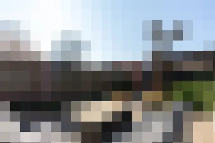 Wildenborg 31 Barneveld thumbnail 4