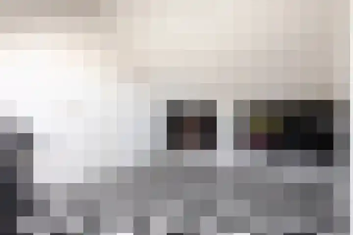 Wildenborg 31 Barneveld thumbnail 42