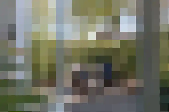 Wildenborg 31 Barneveld thumbnail 43
