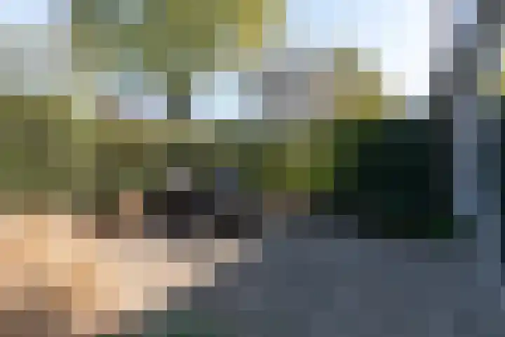 Wildenborg 31 Barneveld thumbnail 44