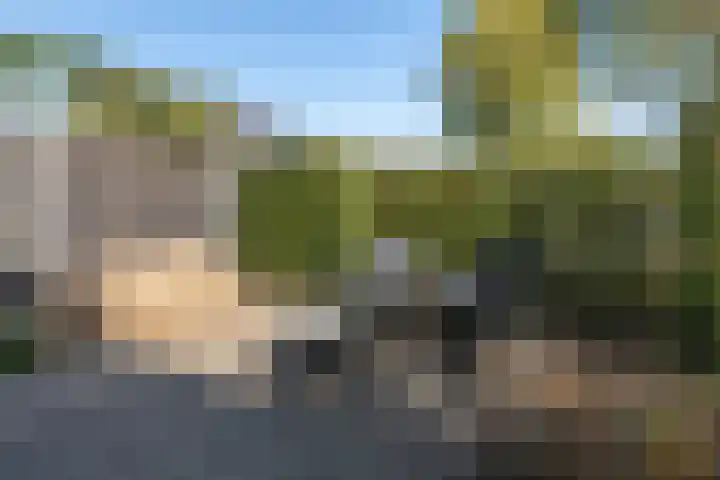Wildenborg 31 Barneveld thumbnail 45