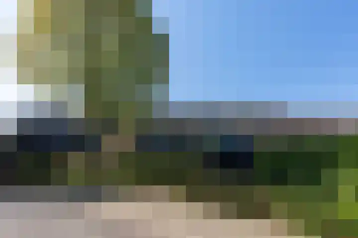 Wildenborg 31 Barneveld thumbnail 52