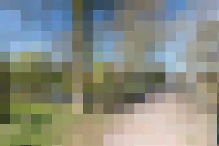 Wildenborg 31 Barneveld thumbnail 54