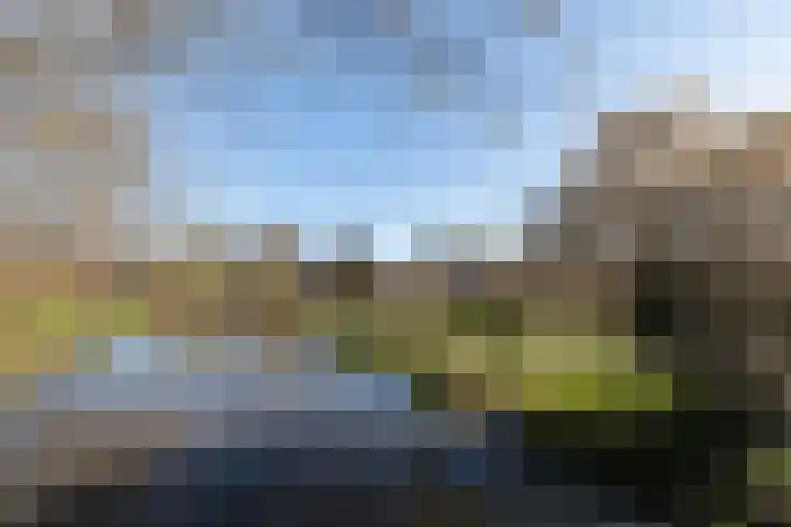 Wildenborg 31 Barneveld thumbnail 55