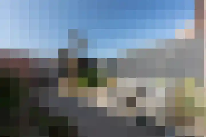 Wildenborg 31 Barneveld thumbnail 8