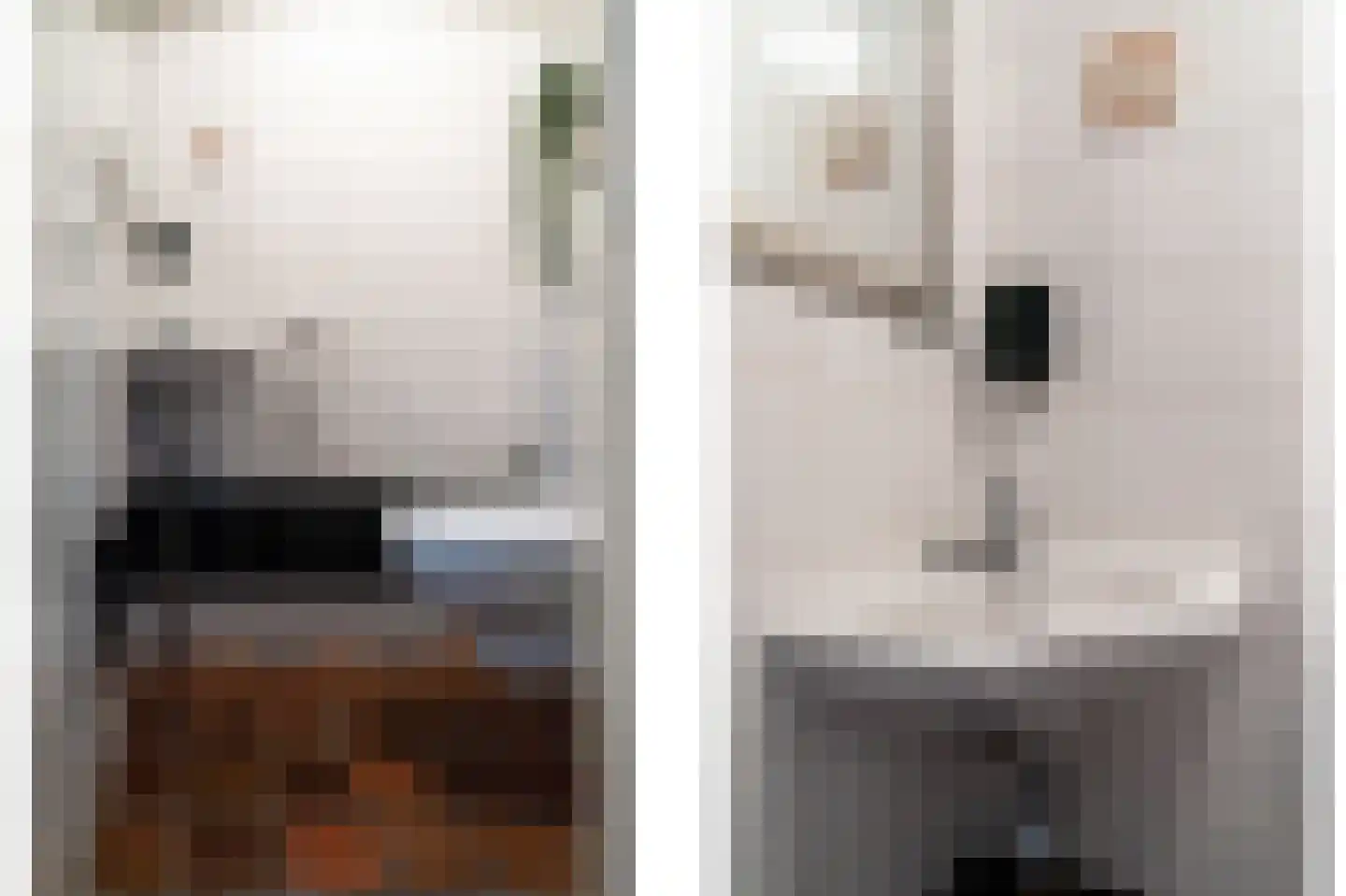 Wildenborg 37 Barneveld thumbnail 11