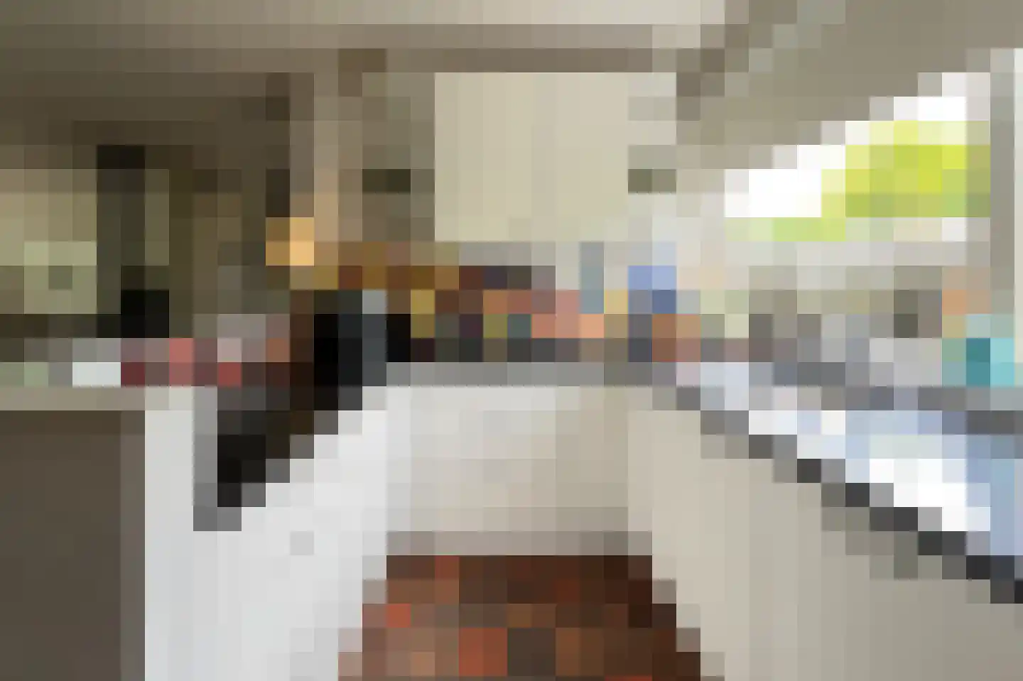 Wildenborg 37 Barneveld thumbnail 15