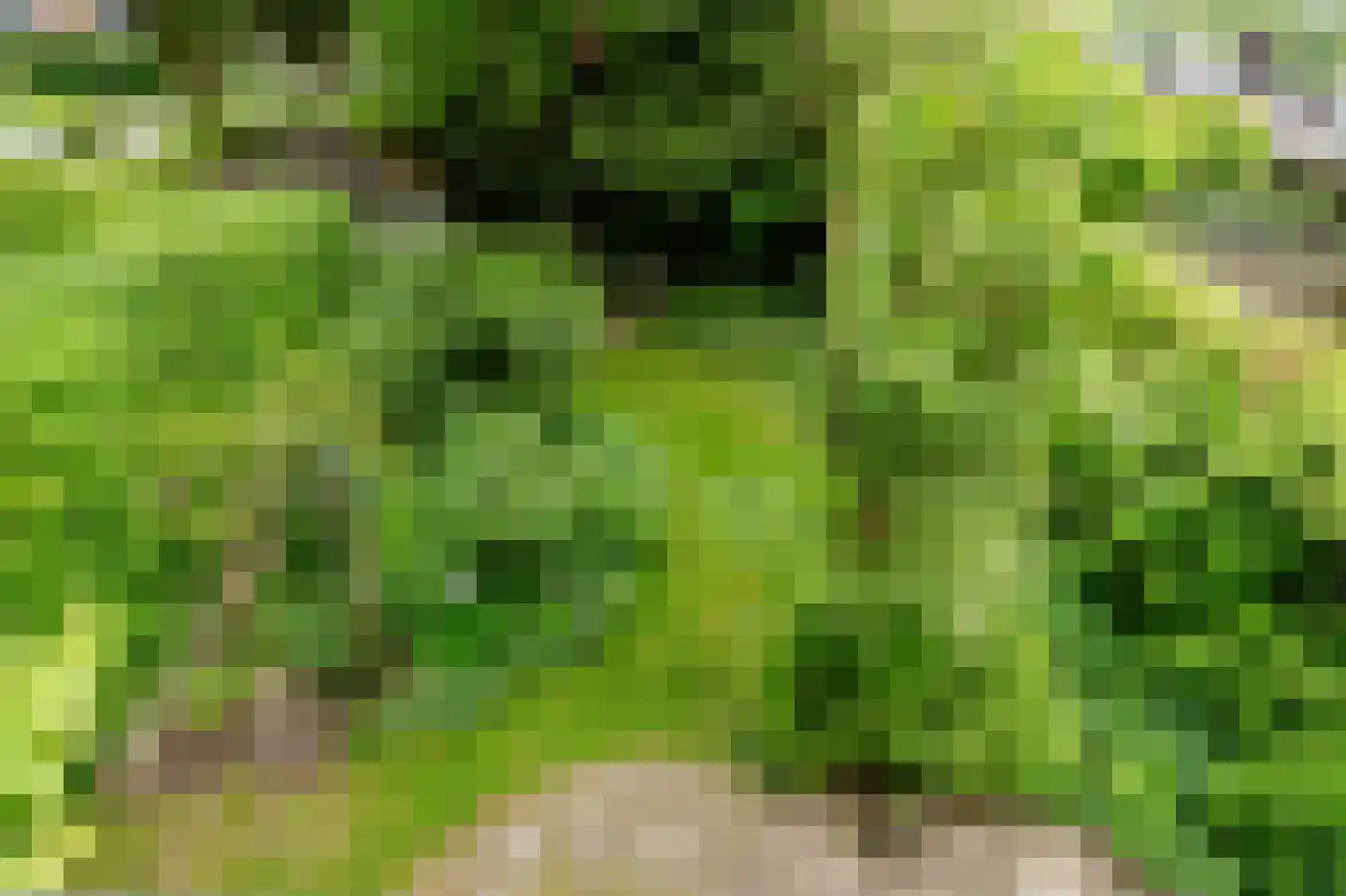 Wildenborg 37 Barneveld thumbnail 23