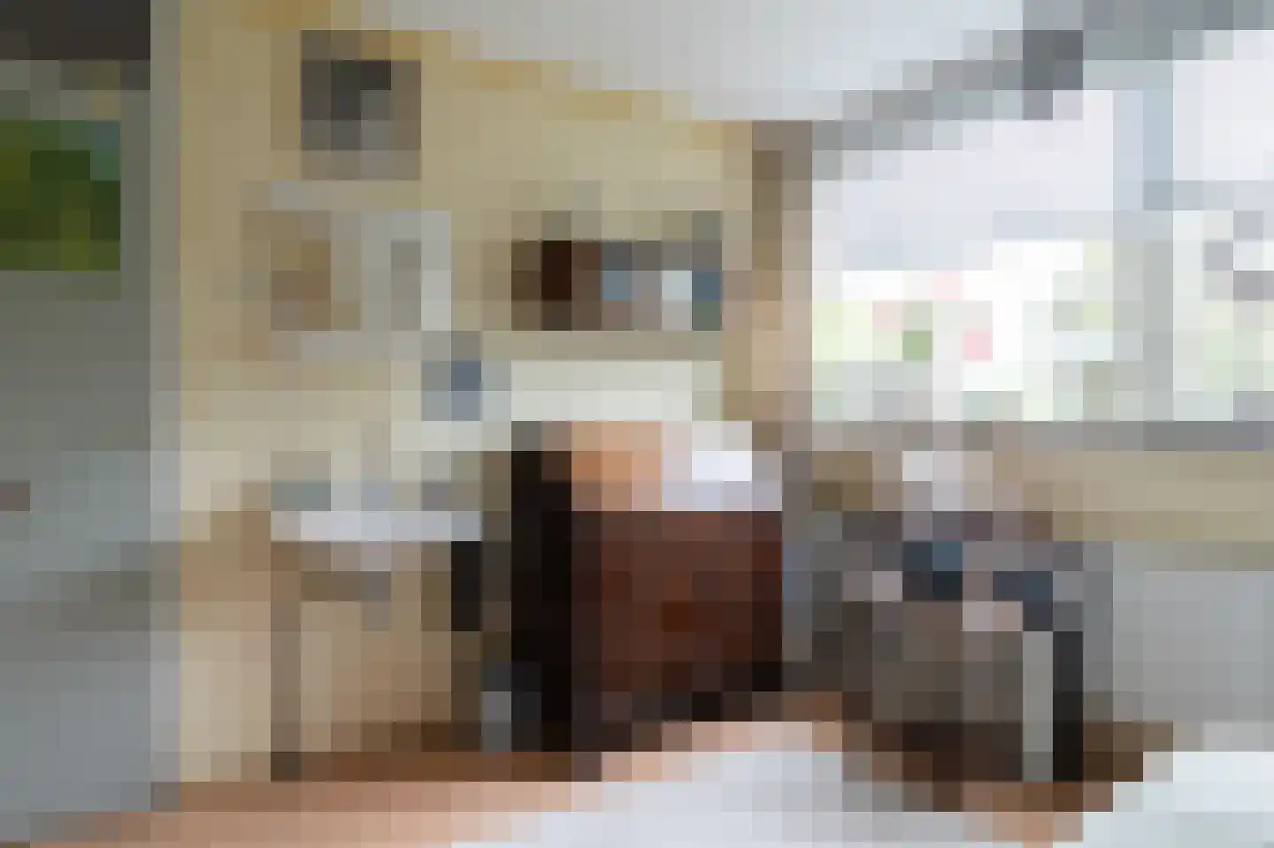 Wildenborg 37 Barneveld thumbnail 32