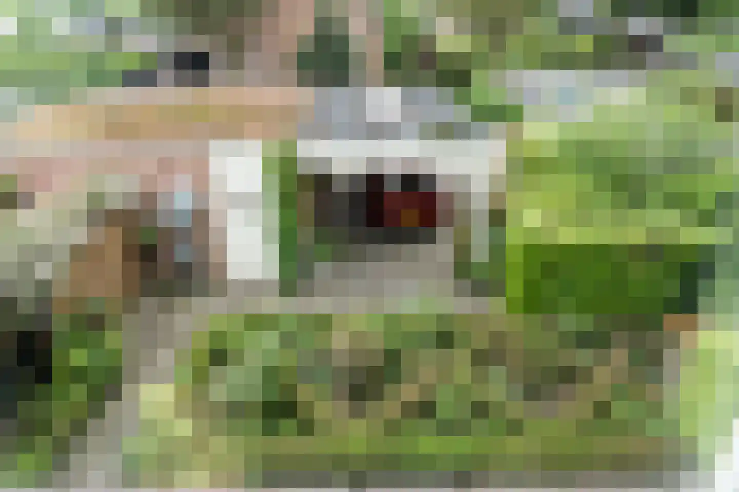 Wildenborg 37 Barneveld thumbnail 33