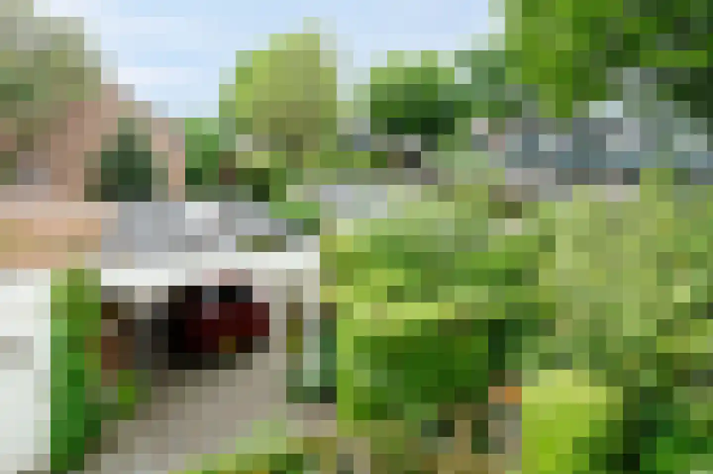 Wildenborg 37 Barneveld thumbnail 34