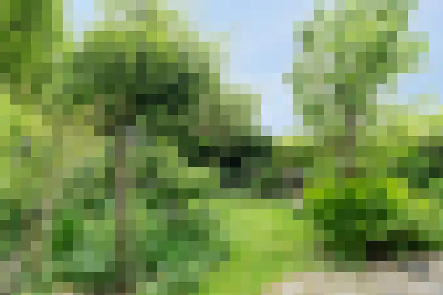 Wildenborg 37 Barneveld thumbnail 39