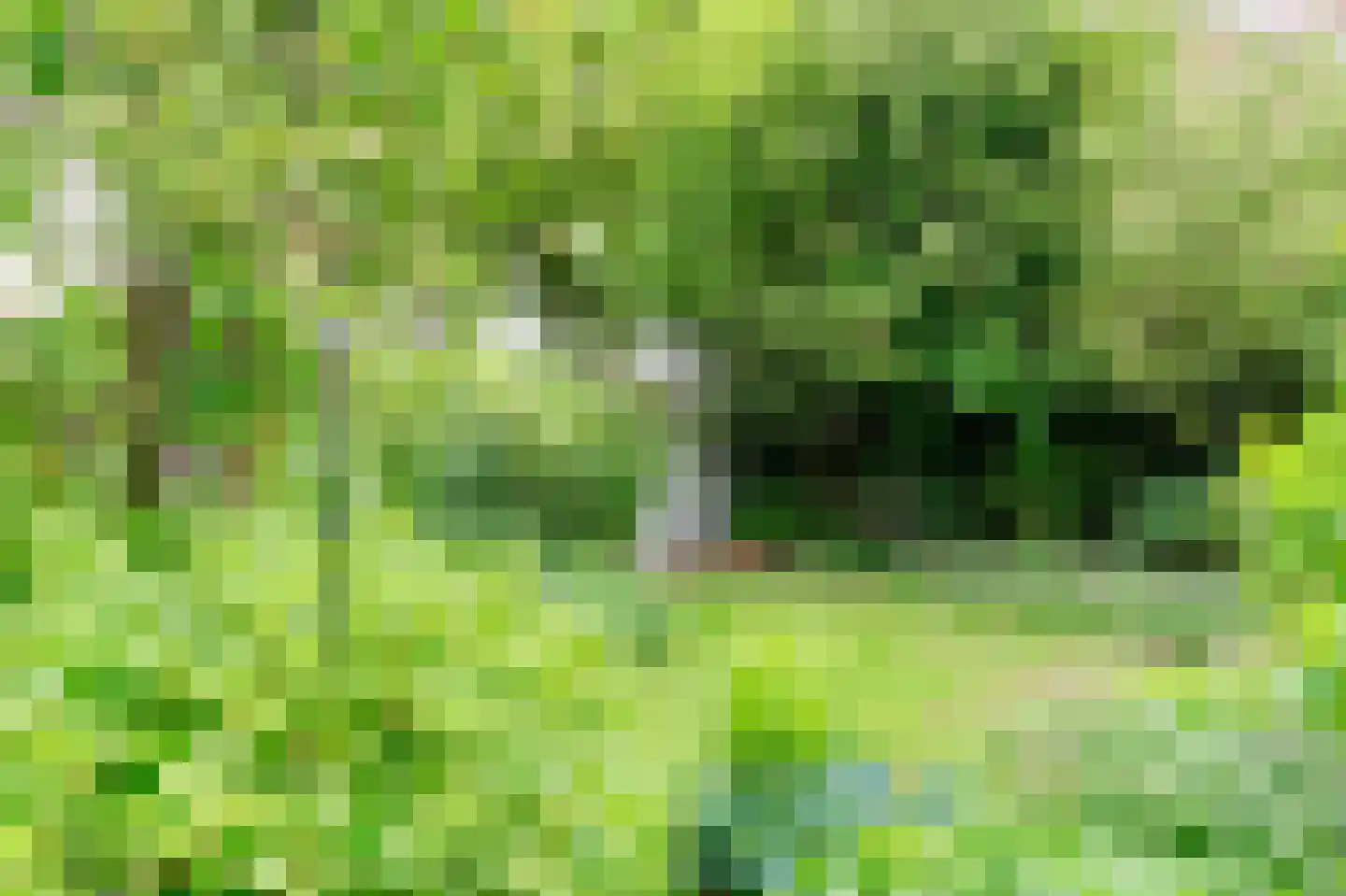 Wildenborg 37 Barneveld thumbnail 40