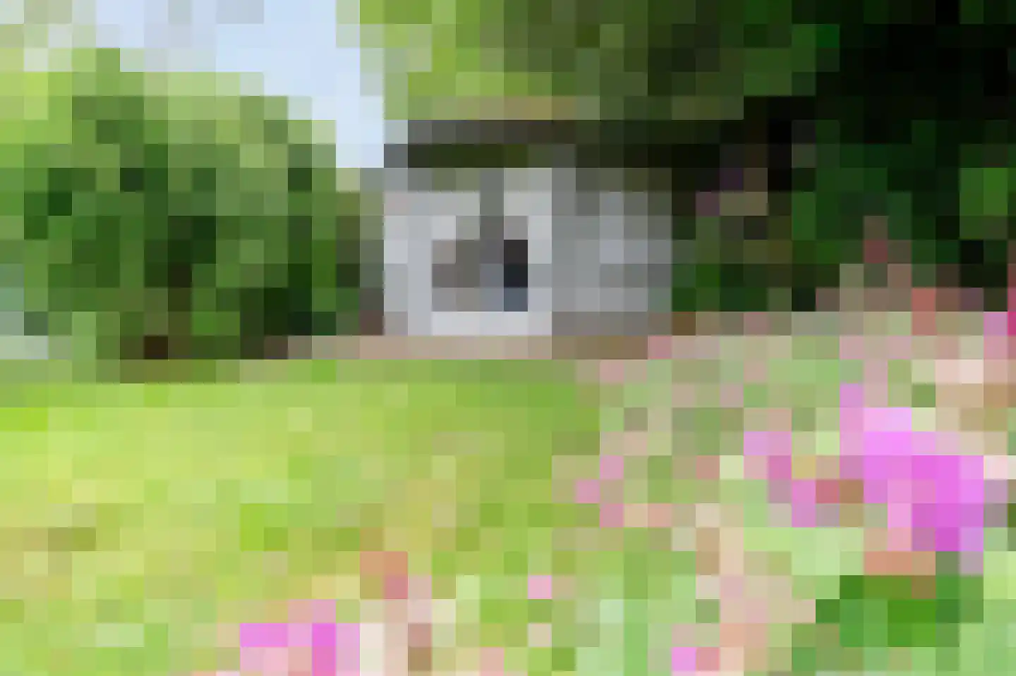 Wildenborg 37 Barneveld thumbnail 41
