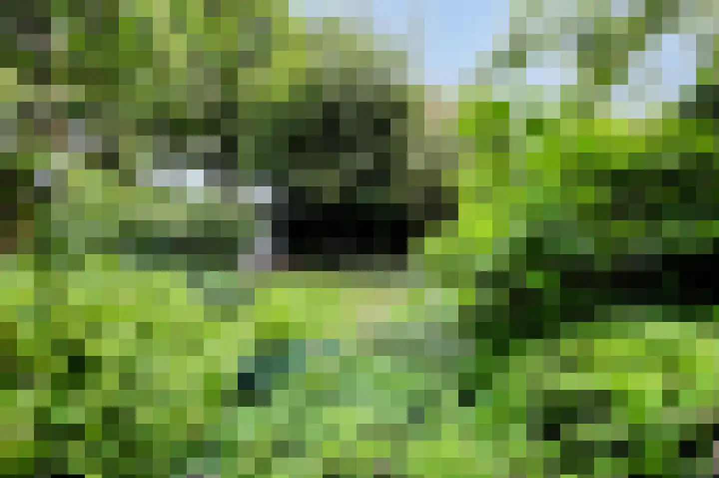 Wildenborg 37 Barneveld thumbnail 43