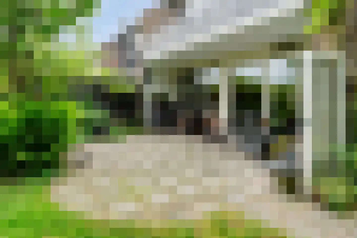 Wildenborg 37 Barneveld thumbnail 44