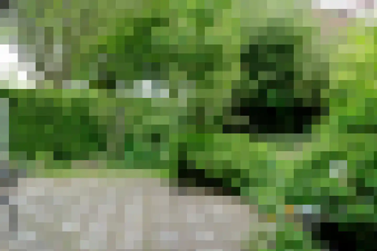 Wildenborg 37 Barneveld thumbnail 45