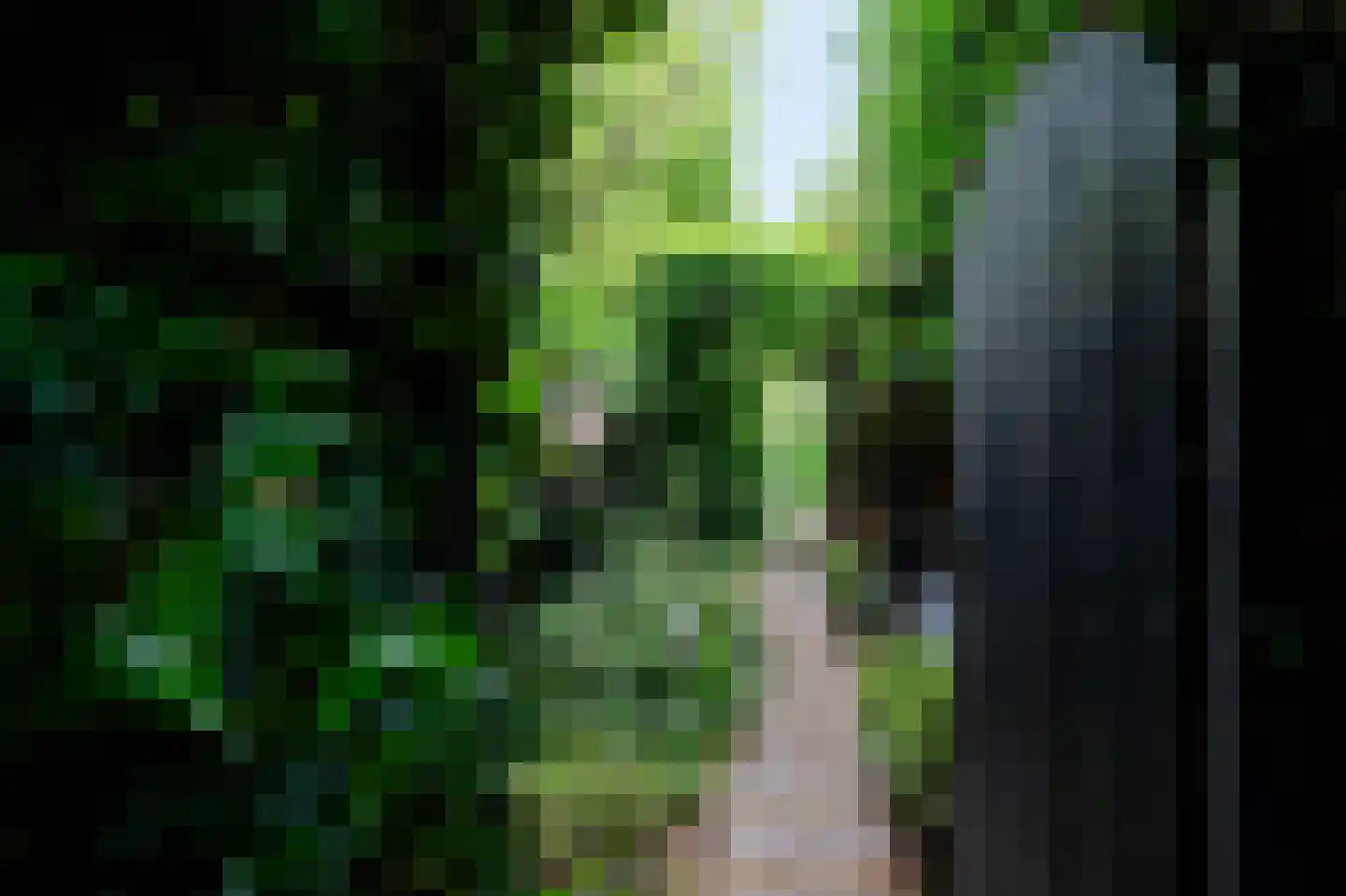 Wildenborg 37 Barneveld thumbnail 46