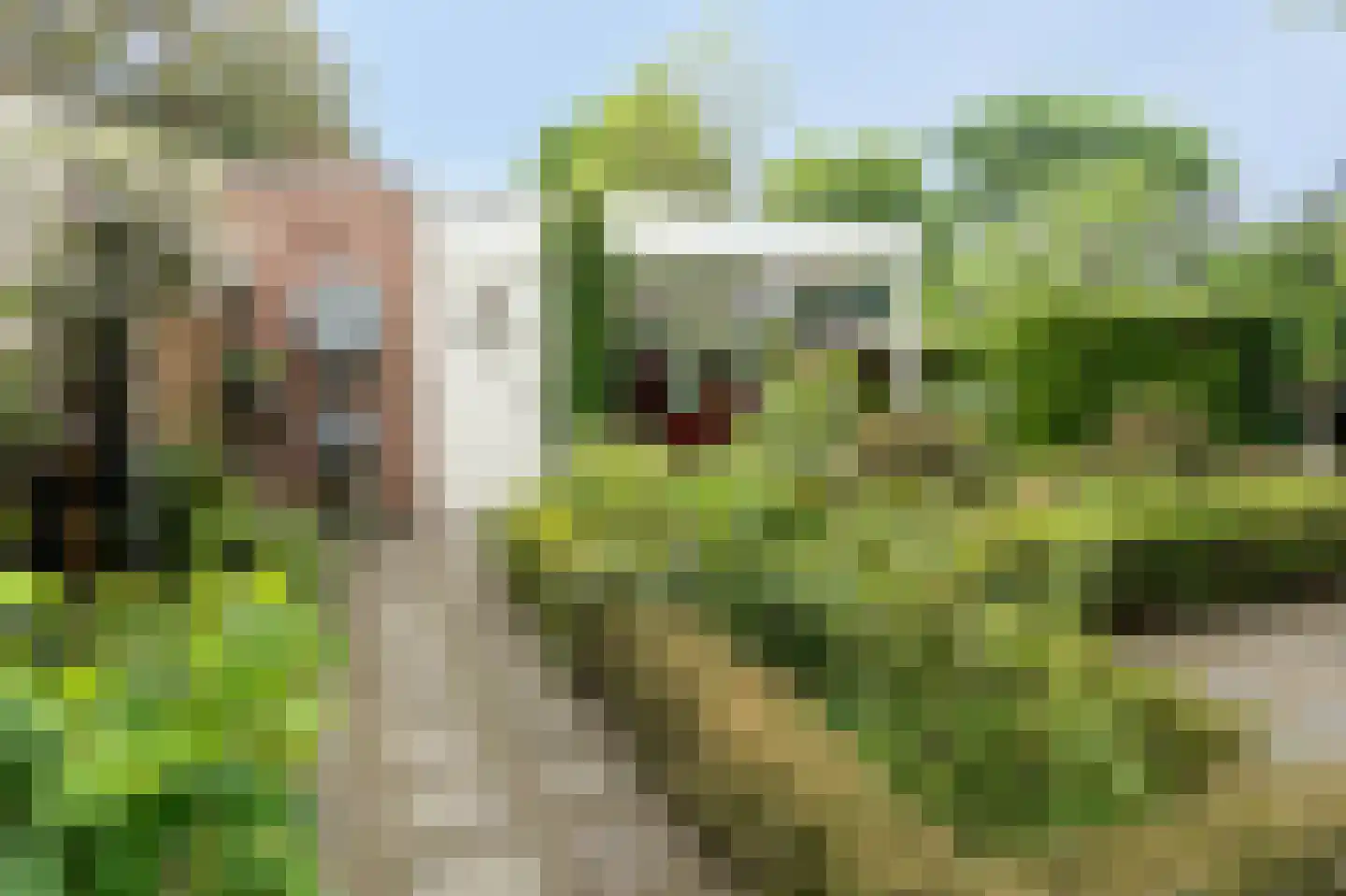 Wildenborg 37 Barneveld thumbnail 48