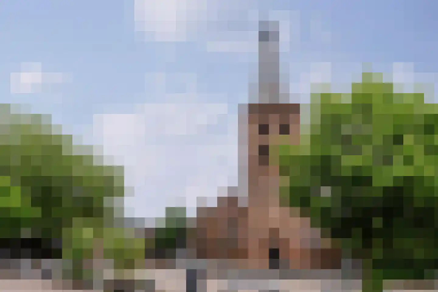 Wildenborg 37 Barneveld thumbnail 55