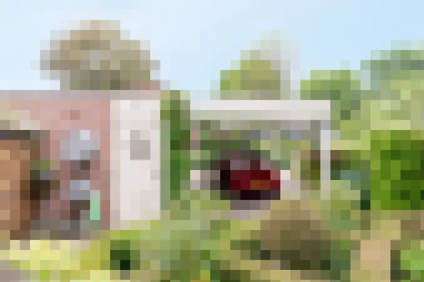 Wildenborg 37 Barneveld thumbnail 7