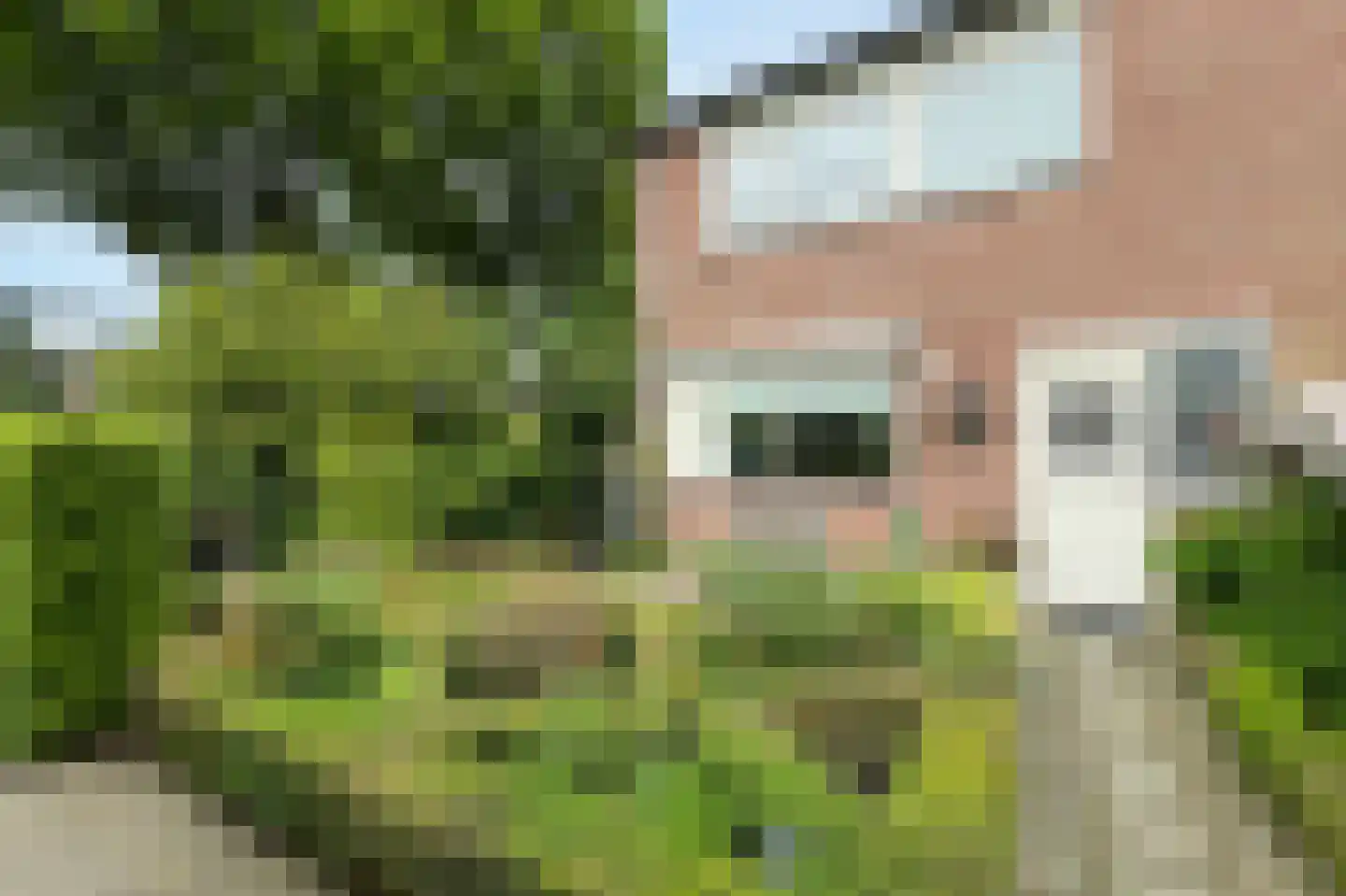 Wildenborg 37 Barneveld thumbnail 9