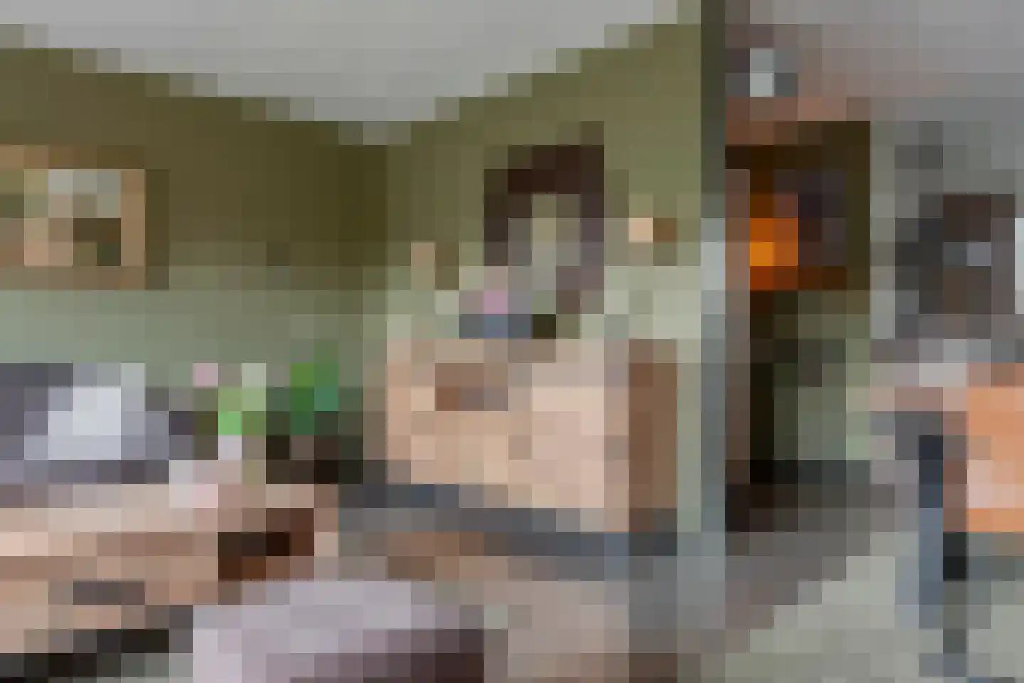 Wildenborg 45 Barneveld thumbnail 19