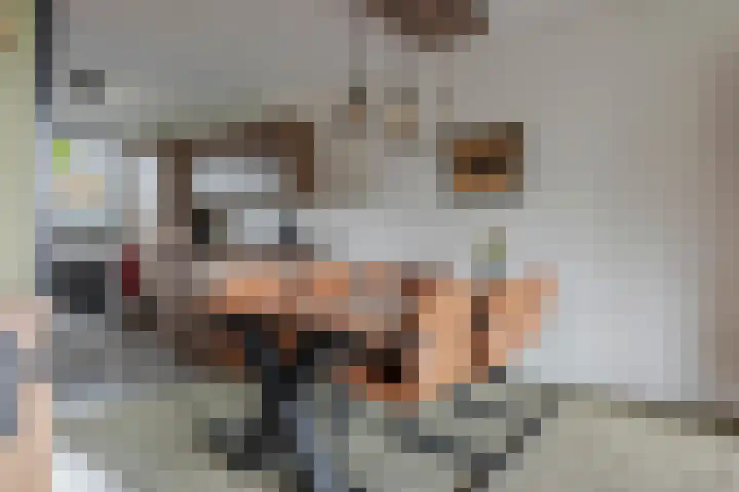 Wildenborg 45 Barneveld thumbnail 21