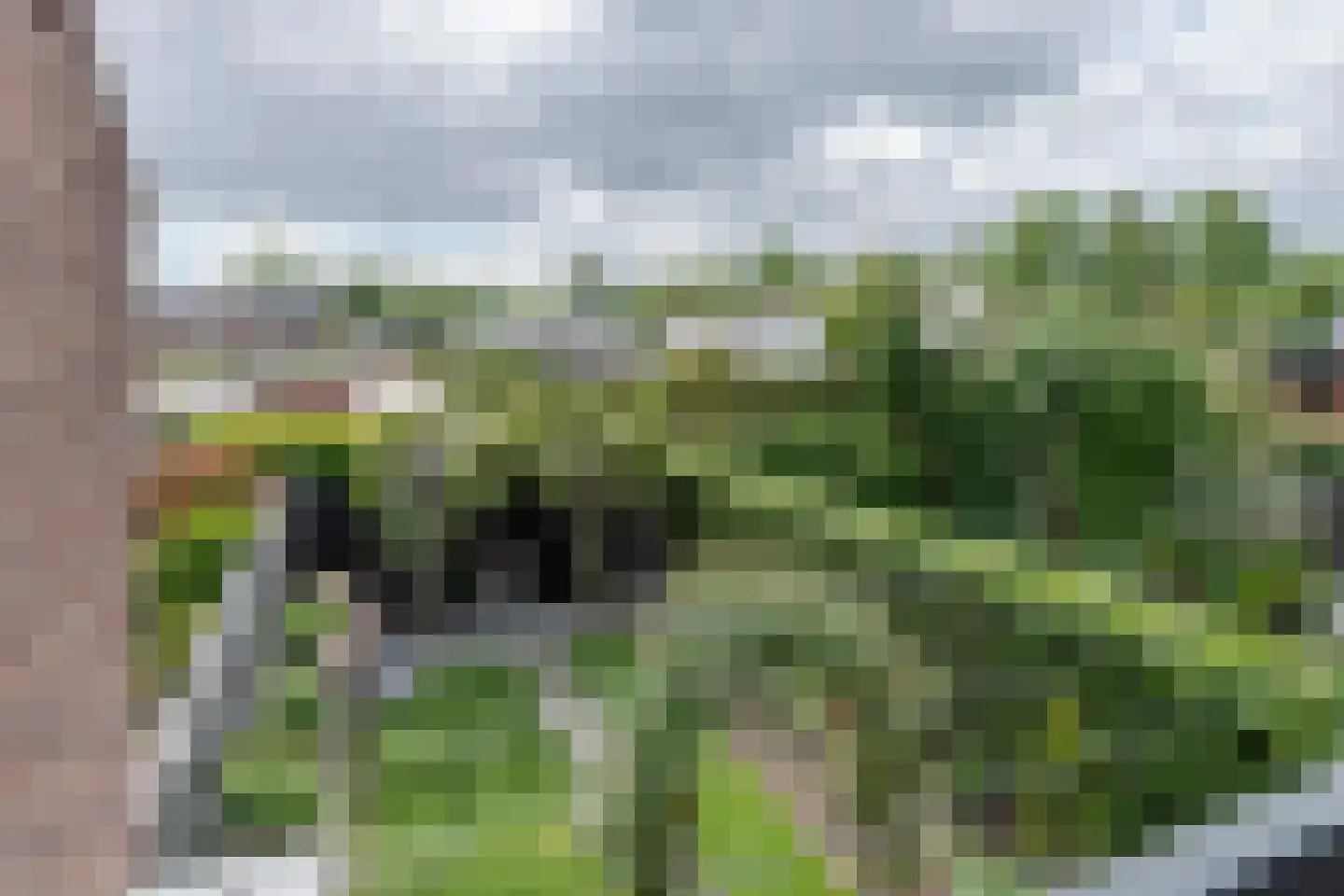 Wildenborg 45 Barneveld thumbnail 33