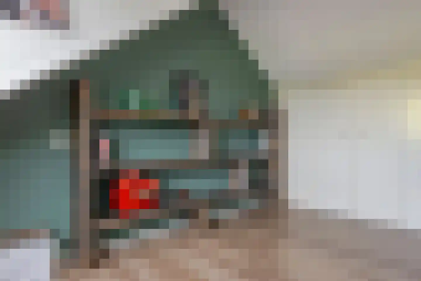 Wildenborg 45 Barneveld thumbnail 45