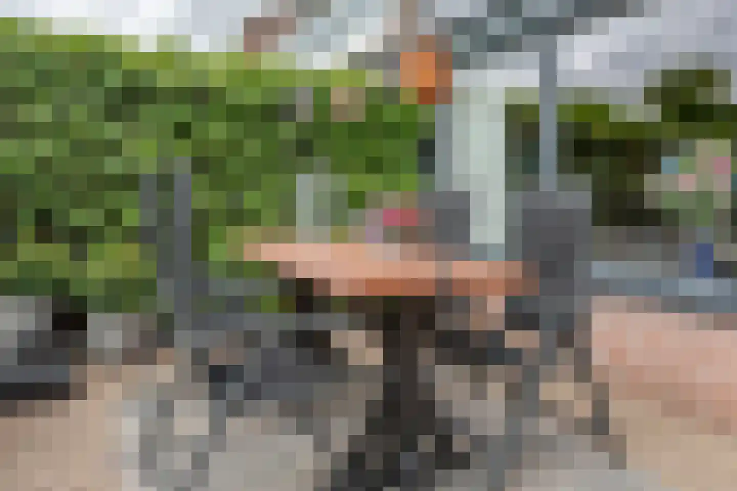 Wildenborg 45 Barneveld thumbnail 47
