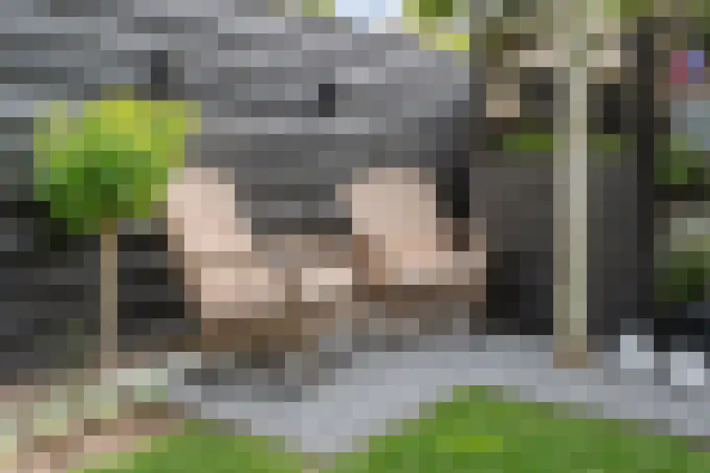 Wildenborg 45 Barneveld thumbnail 50