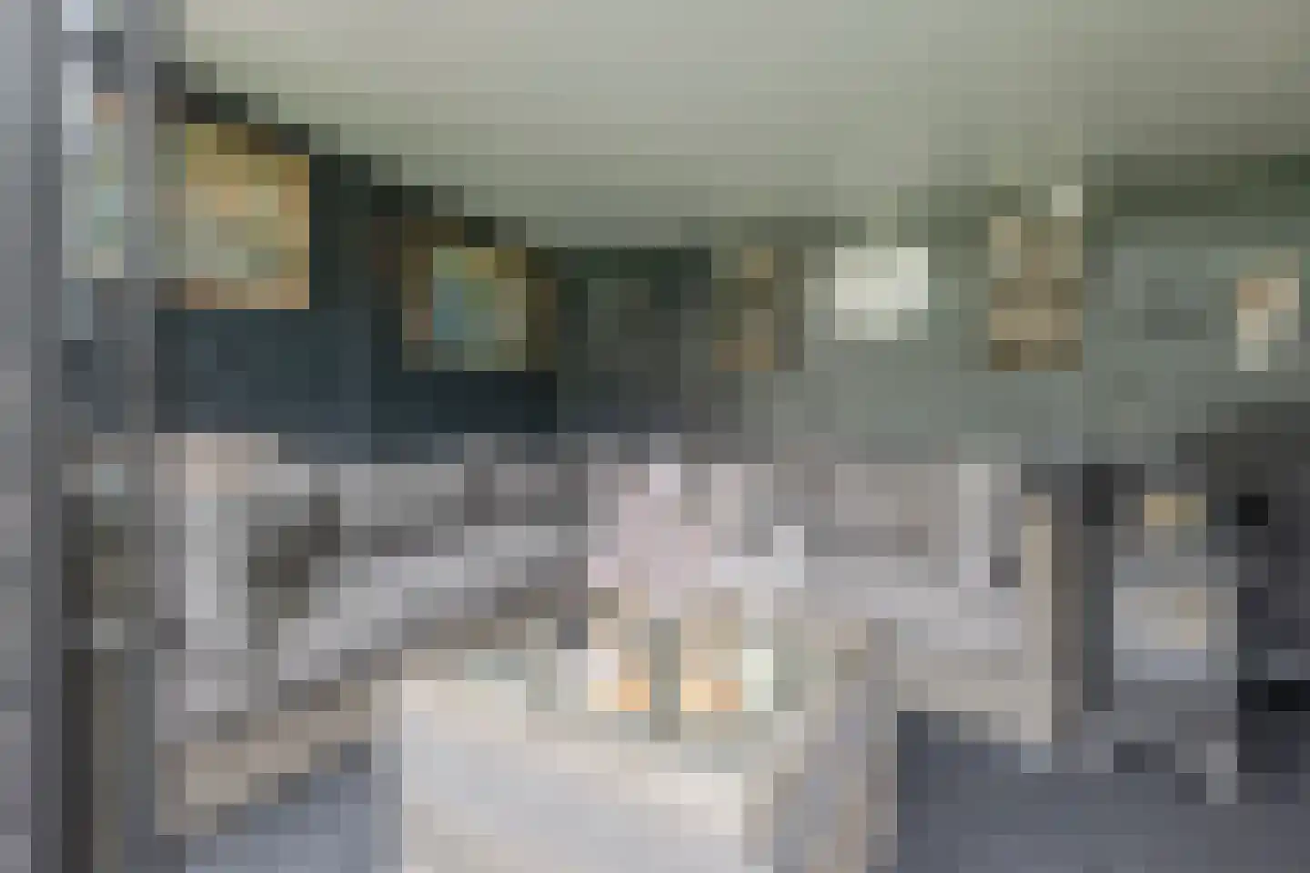 Wildenborg 45 Barneveld thumbnail 52