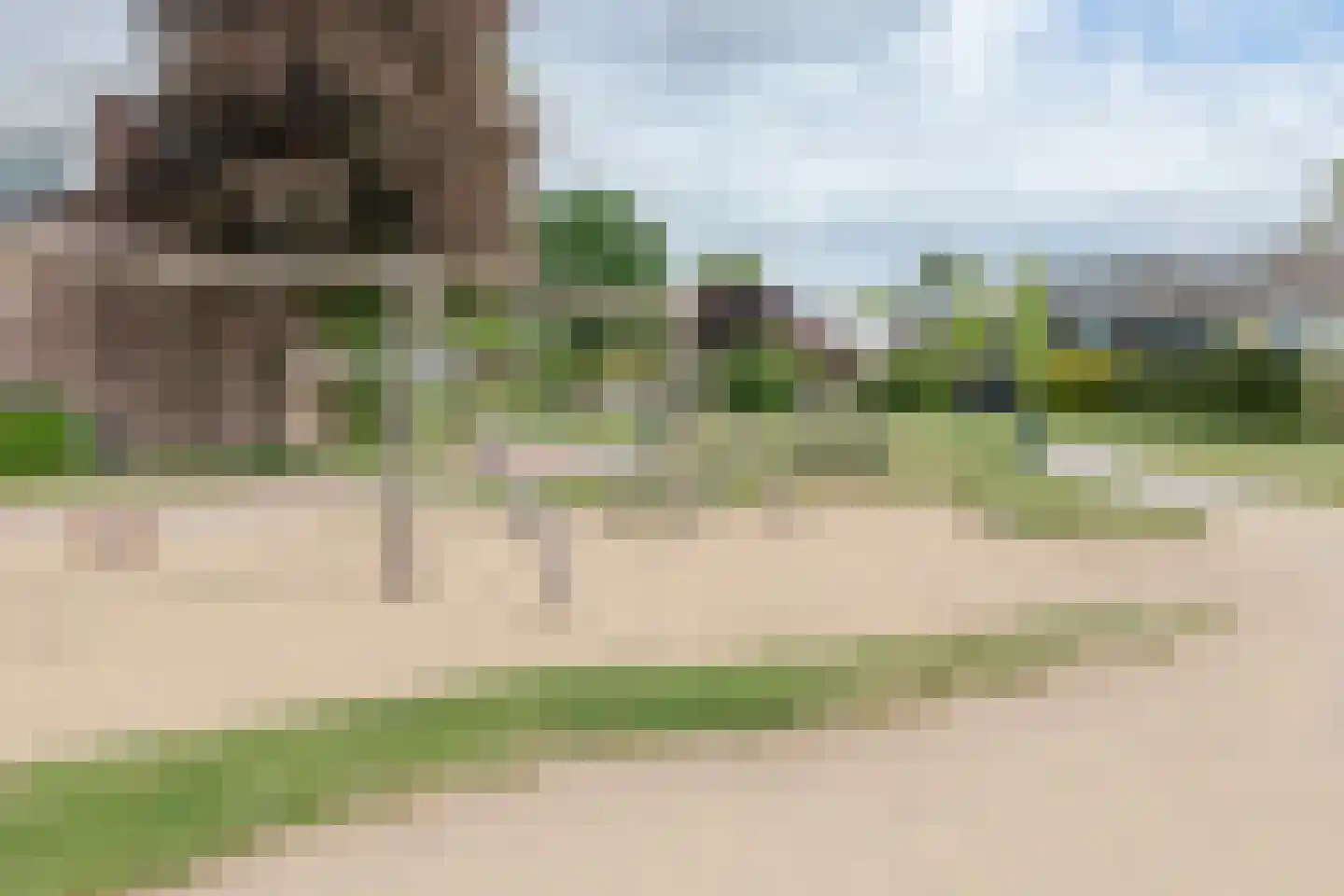 Wildenborg 45 Barneveld thumbnail 56