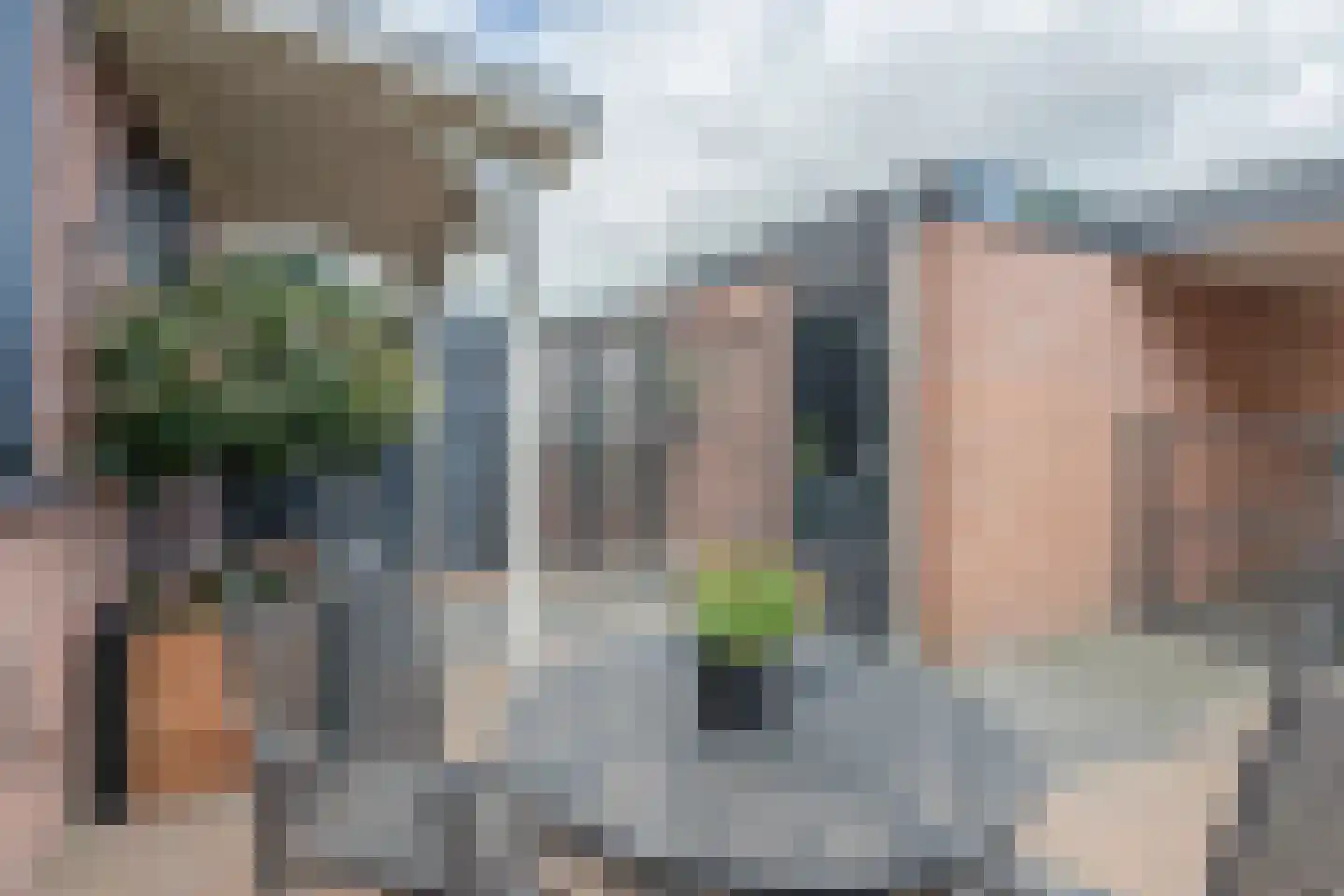 Wildenborg 45 Barneveld thumbnail 8