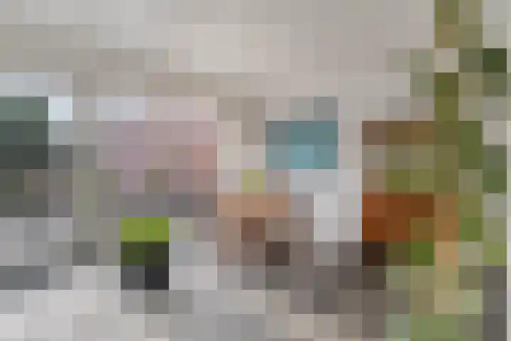 Wildenborg 64 Barneveld thumbnail 13