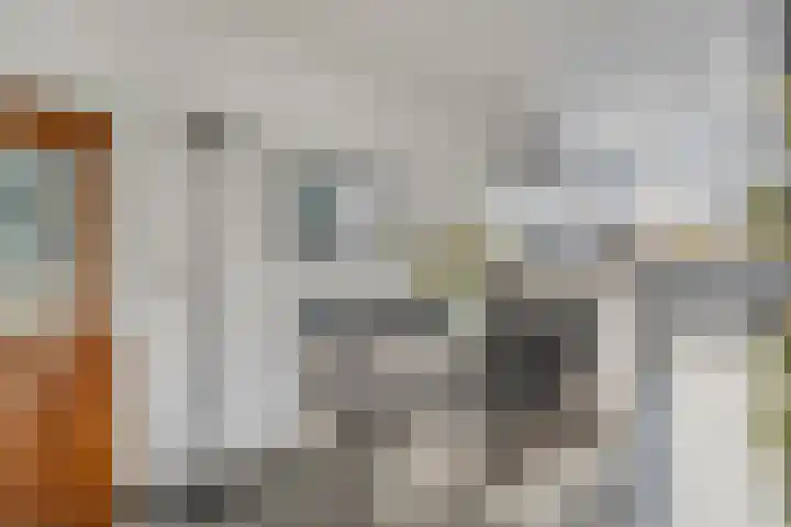 Wildenborg 64 Barneveld thumbnail 15