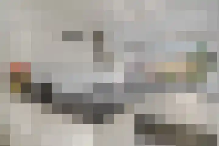 Wildenborg 64 Barneveld thumbnail 18