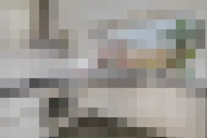 Wildenborg 64 Barneveld thumbnail 19