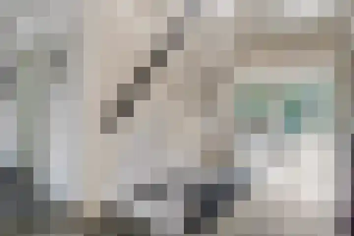 Wildenborg 64 Barneveld thumbnail 23