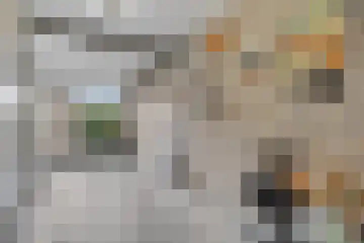 Wildenborg 64 Barneveld thumbnail 35