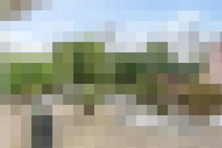 Wildenborg 64 Barneveld thumbnail 37